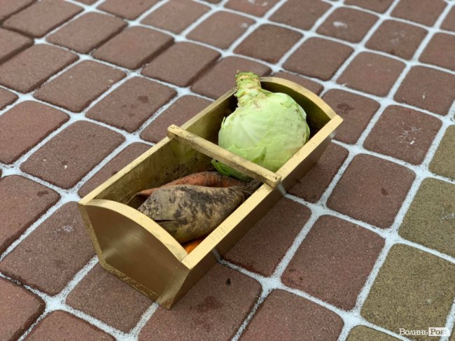 Під Волинську ОДА привели козу і «прощальний» оркестр. ФОТО