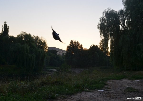 Місто, яке я люблю. Луцьк прокидається. Частина 2