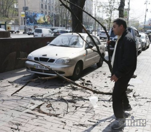 У Києві гілка розбила авто. ФОТО