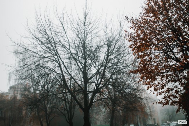 Туманний Луцьк: неймовірні фото 