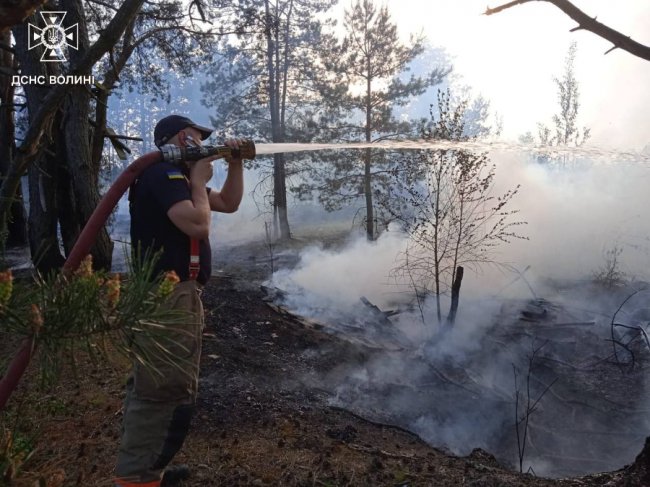 На Волині горіли два сміттєзвалища