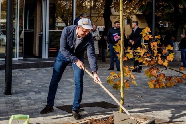 Дерева також висадили у новому сквері на вулиці Градний Узвіз у Луцьку