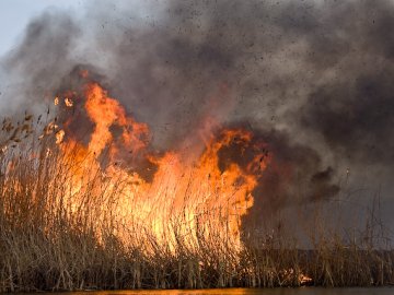 На Волині горіла суха трава та торф