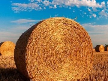 Погода у Луцьку на завтра, 2 серпня