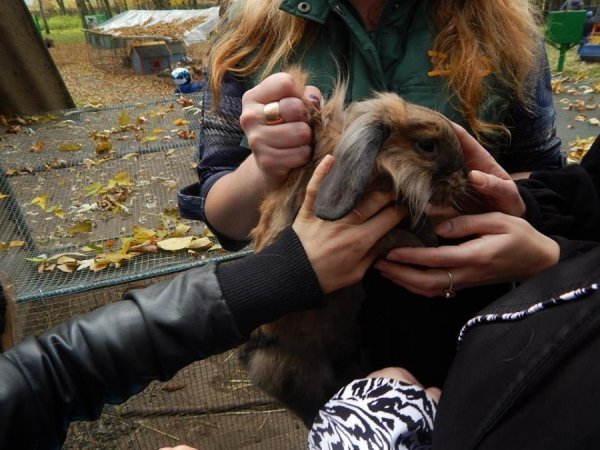 Луцький зоопарк «відчули на дотик». ФОТО