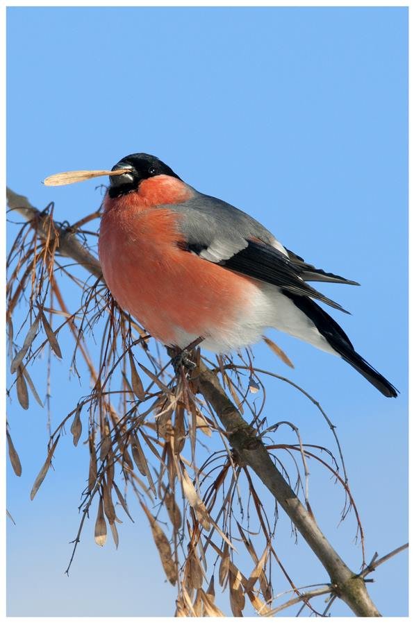 Загубленими стежками: луцький фотограф про Центральний парк міста