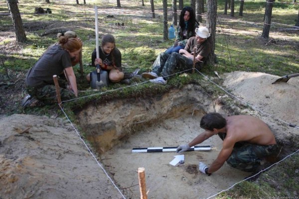 Волинські археологи знайшли поховання з переломами черепа