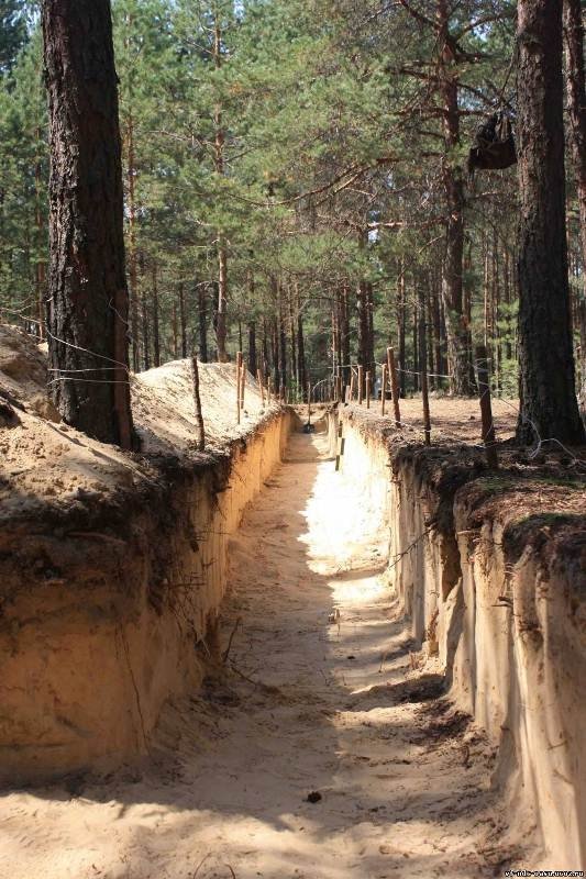 Волинські археологи знайшли поховання з переломами черепа