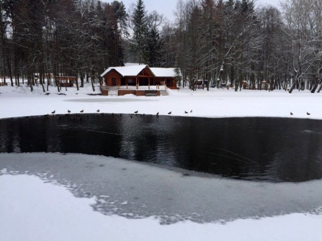 У «волинській Швейцарії» знову зимують дикі качки. ФОТО