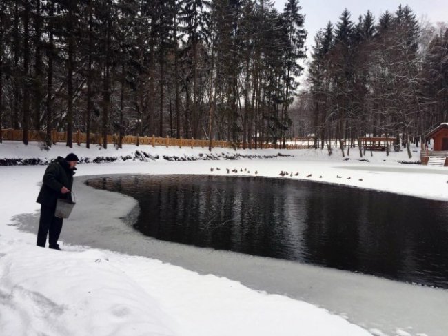 У «волинській Швейцарії» знову зимують дикі качки. ФОТО