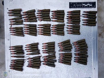 У волинянина вилучили цілий пакет набоїв