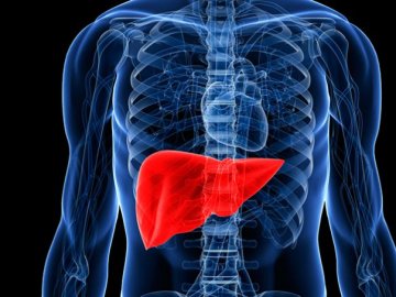 Як захистити свою печінку: дієтологи надали надійні способи