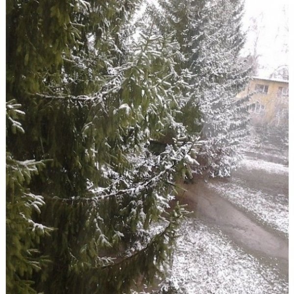 У Москві – перший сніг. ФОТО