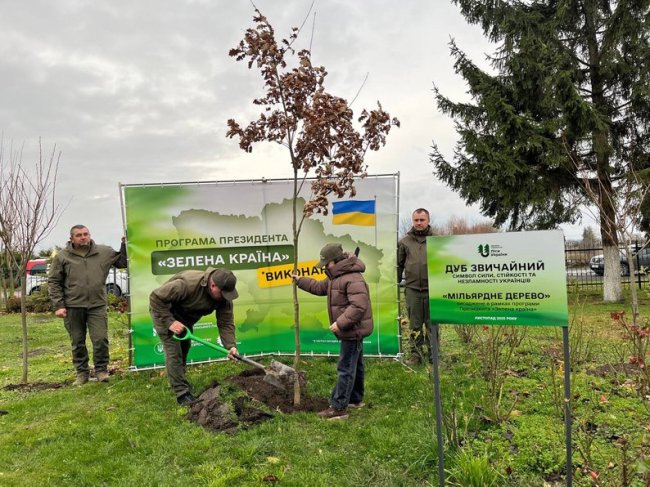 На Волині висадили символічне мільярдне дерево