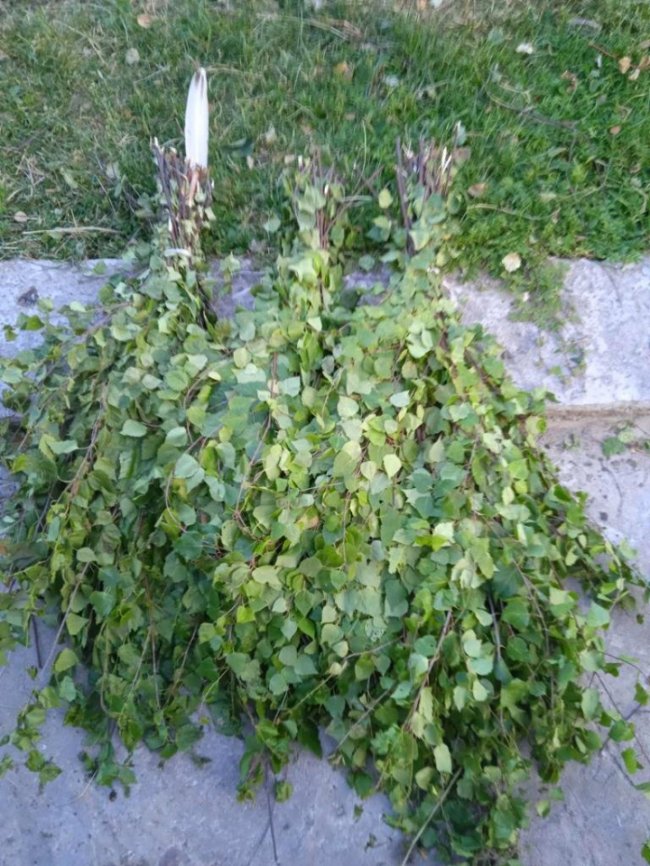 Волинські лісівники заготовляють смаколики на зиму для диких тварин. ФОТО