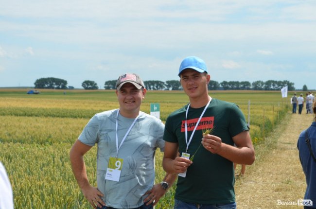 Аграрна еліта серед пшеничних колосків: на Волині – День поля. ФОТО