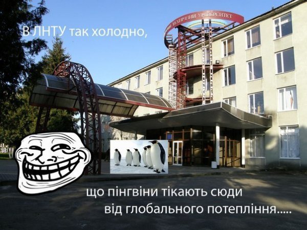 Приколи-2012: кращі фотожаби, меми і демотиватори волинського інтернету