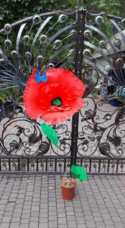  З нагоди державного свята Луцький зоопарк «розквітнув» маками. ФОТО