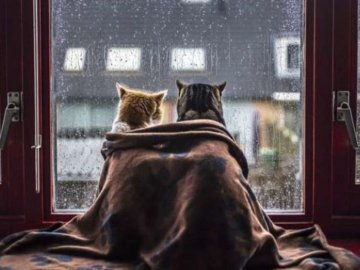 В Україні прогнозують похолодання