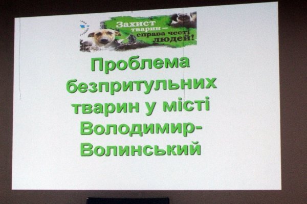 У Володимирі-Волинському будуватимуть притулок для тварин. ФОТО