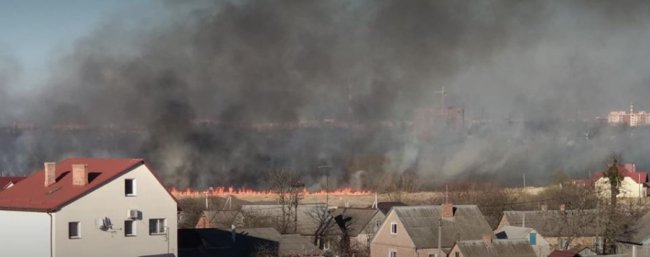 У Луцьку запалили луг: вогонь небезпечно наблизився до будинків. ФОТО