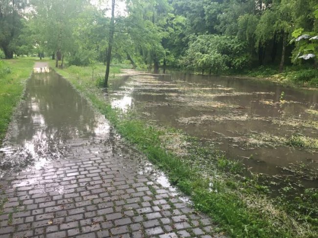 У волинському місті затопило парк. ФОТО