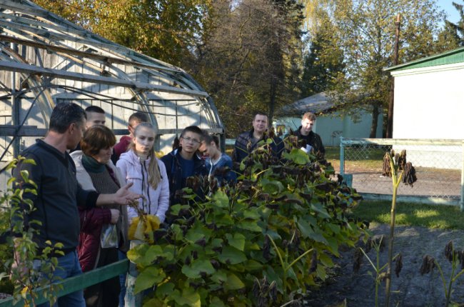 На Волині школярі заготовляли насіння рідкісних видів дерев. ФОТО