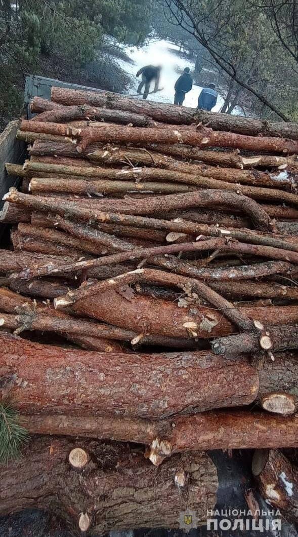 На Волині затримали вантажівку та кінну підводу з незаконним лісом. ФОТО