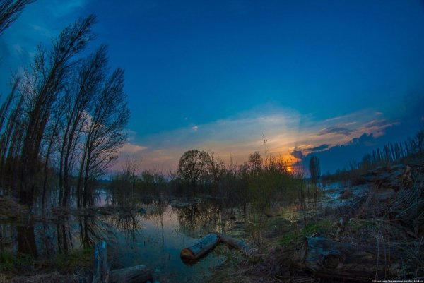 Фотовиставка Олександра Федюка. ФОТО