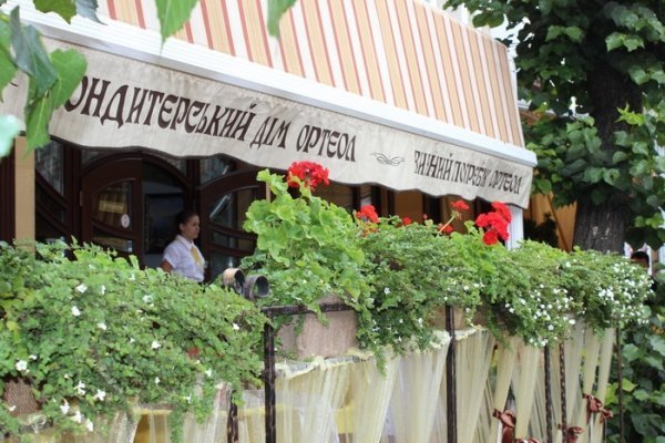 Як прикрасили луцькі клумби. ФОТО