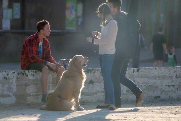 Луцьк вихідний. ФОТО