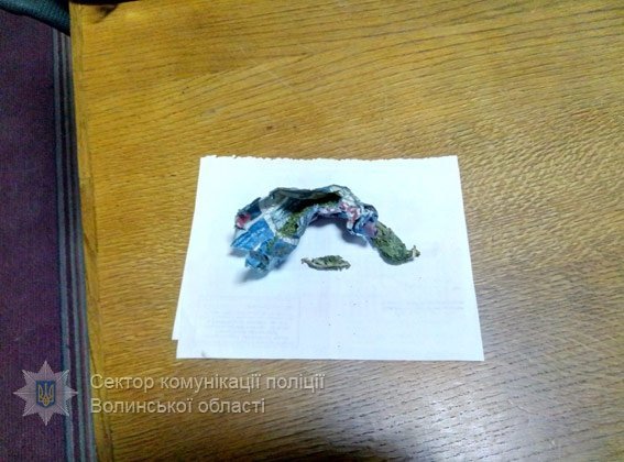 Затримали ковельчанина з марихуаною