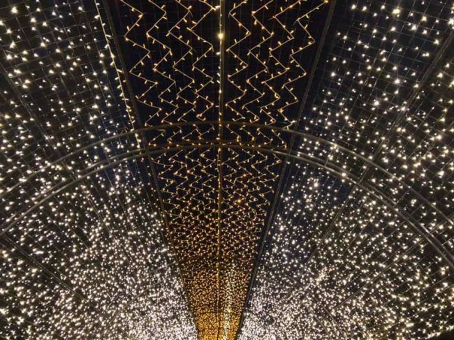 Показали, як виглядає нова світлова атракція у луцькому парку. ФОТО