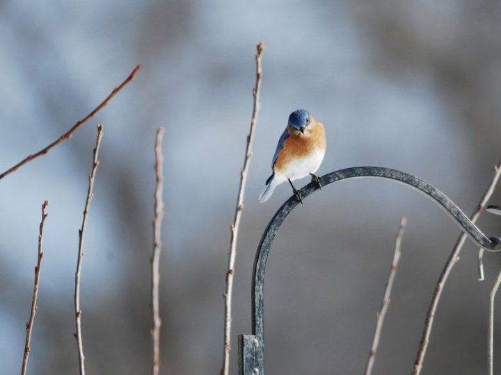 Теплий початок грудня: якої погоди слід очікувати волинянам цього тижня