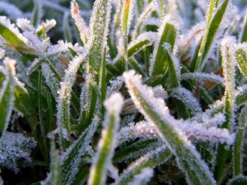 Волинян попереджають про заморозки