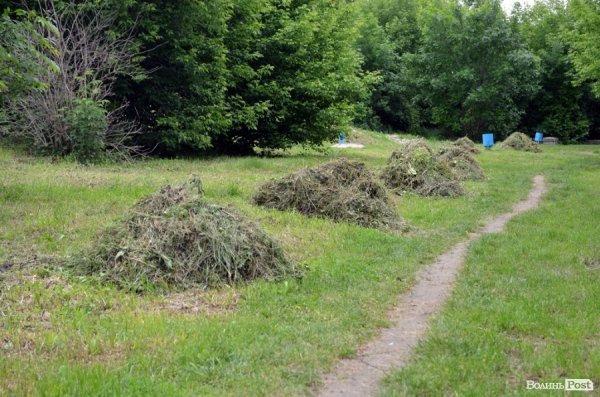 Пляж у Луцьку до купального сезону поки не готовий. ФОТО