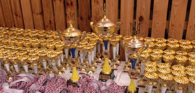 На змагання з кіокушинкай карате до Луцька з'їхалися понад пів тисячі спортсменів