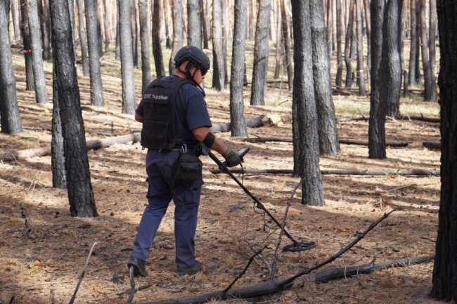 На Донеччині розміновують територію два відділення волинян