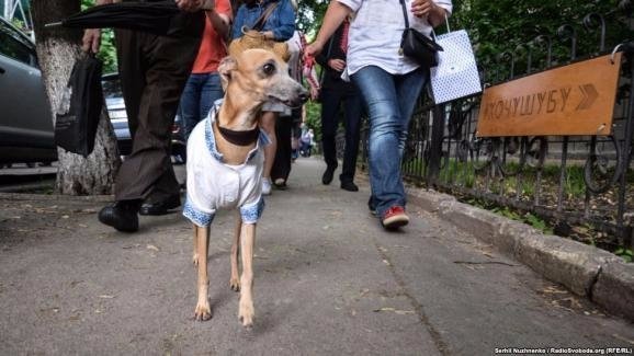 Святкування Дня Києва: українці влаштували Мегамарш у вишиванках. ФОТО. ВІДЕО