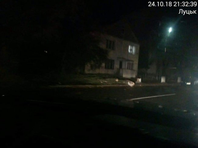 У Луцьку вітер повалив дерево. ФОТО