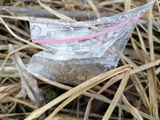 У луцькому парку жінка під час прогулянки знайшла 20 пакетиків з наркотиками. ФОТО