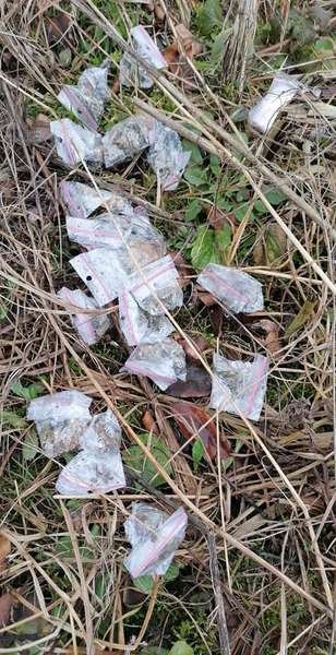 У луцькому парку жінка під час прогулянки знайшла 20 пакетиків з наркотиками. ФОТО