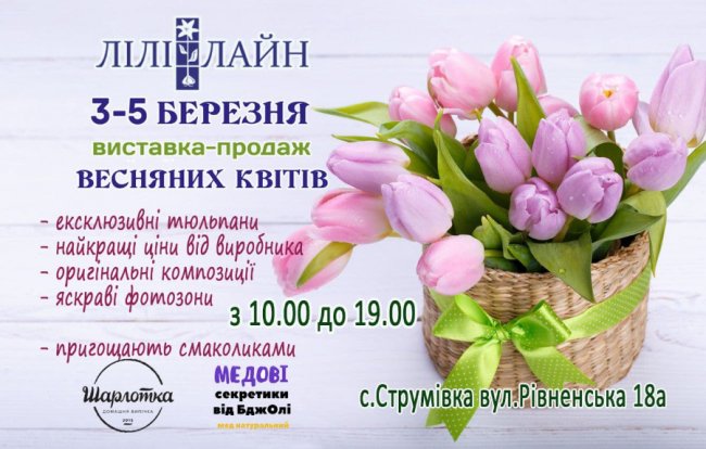 Тюльпановий рай напередодні свята: у Луцьку влаштують масштабну виставку-продаж весняних квітів