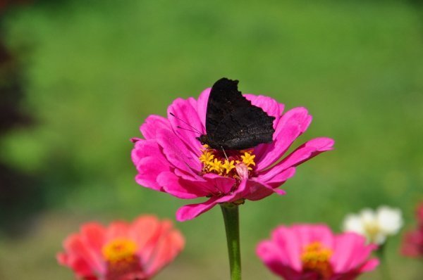 Фотовиставка Тетяни Кірчук. ФОТО