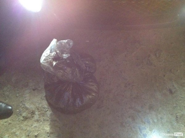 На Маневиччині затримали близько сотні бурштинокопачів. ФОТО