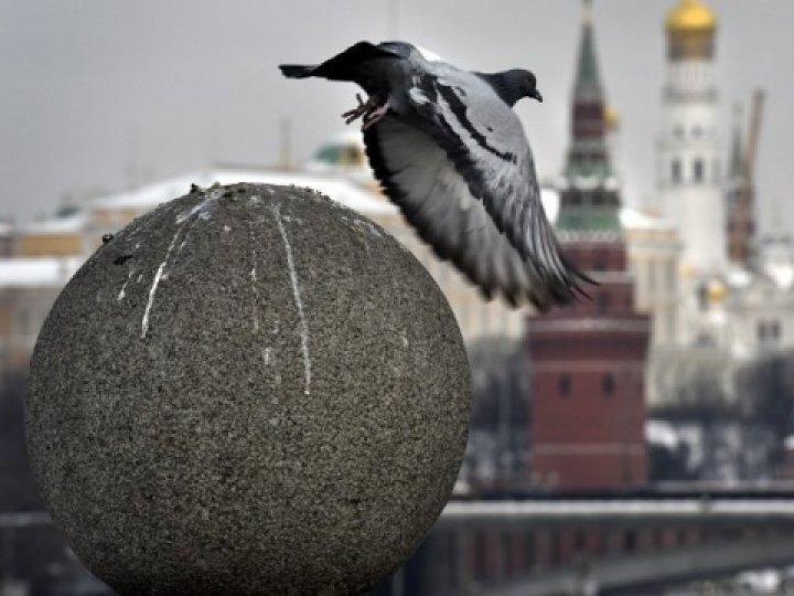У Кремлі заявили, що готові до відновлення тристоронніх переговорів