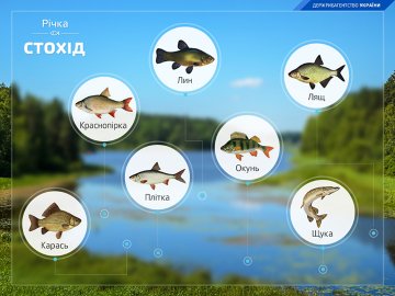 Вважають унікальною в Європі: цікаві факти про найдовшу річку Волині