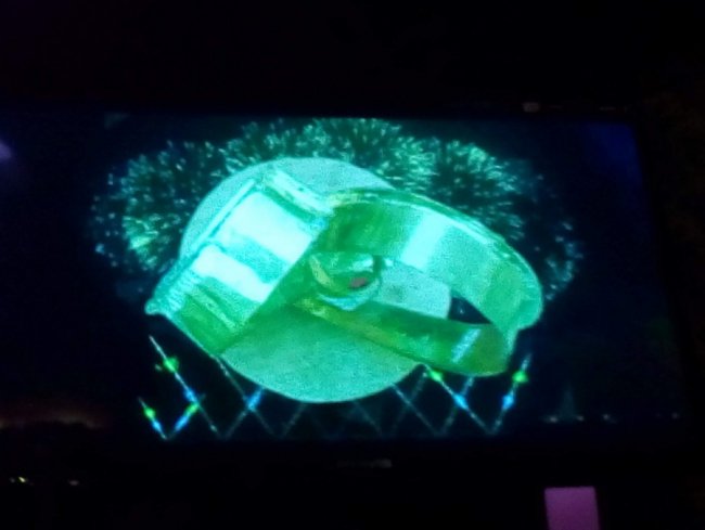 Відомий скульптор-квіткар хоче встановити в луцькому парку «Серце кохання»