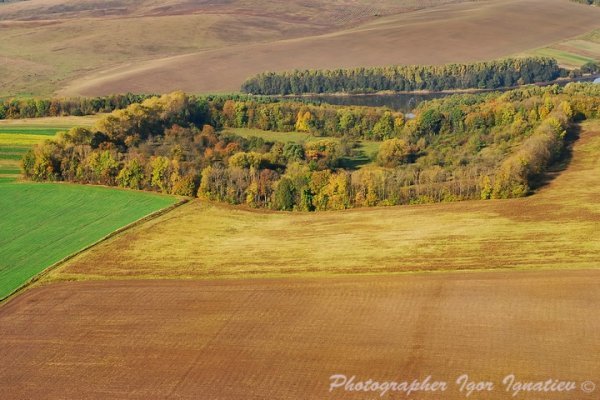 Лісова фортеця