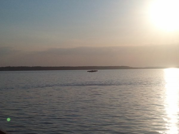 На Світязі туристи сфотографували НЛО, ‒ ЗМІ. ФОТО